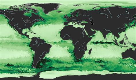 copernicus marine forecast.